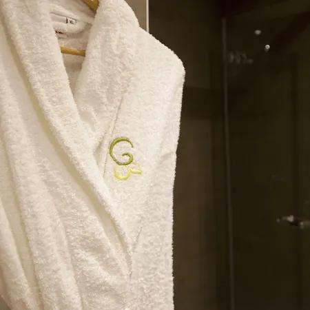 Guest house Goya 4*